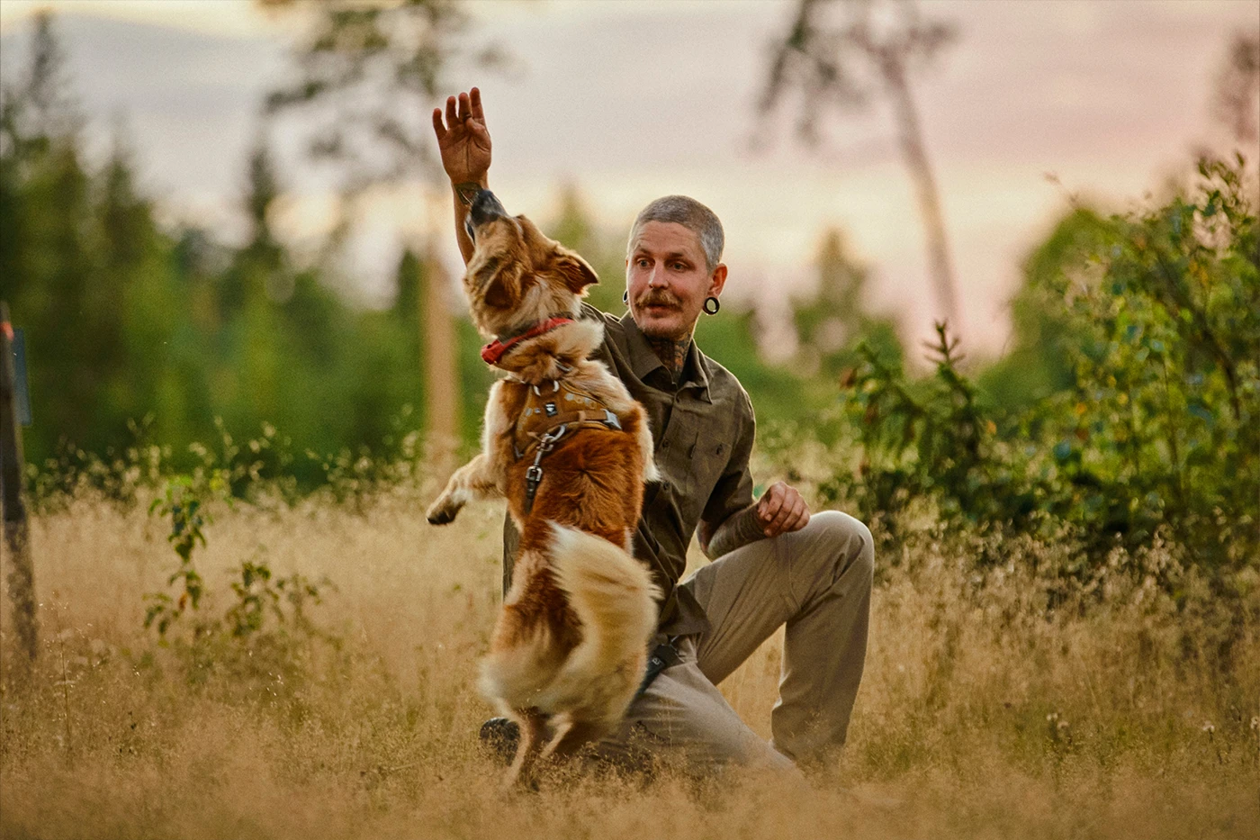 En man som leker med sin hund, ett varumärkesjobb för Pinewood