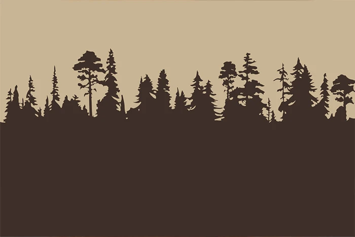 Illustration på en skogslinje, ett varumärkesjobb för Pinewood